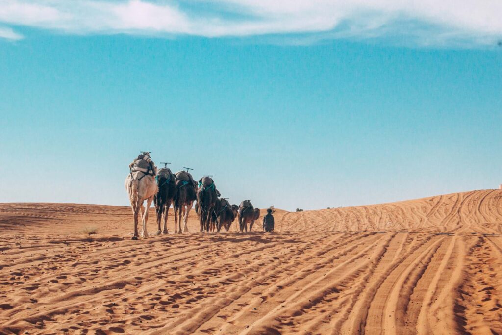 2 Days Fes to Merzouga Sahara Desert Tour