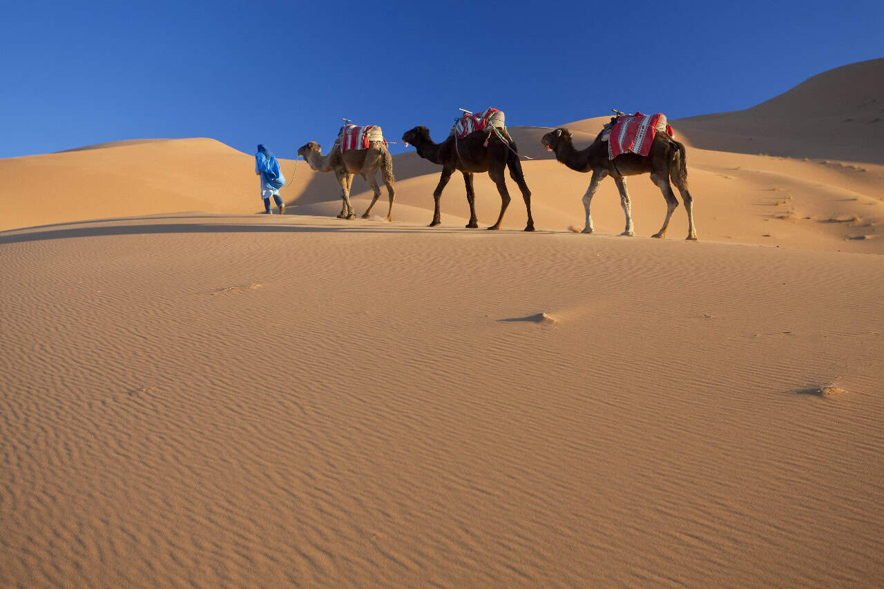5 Day Sahara Desert Tour from Marrakech
