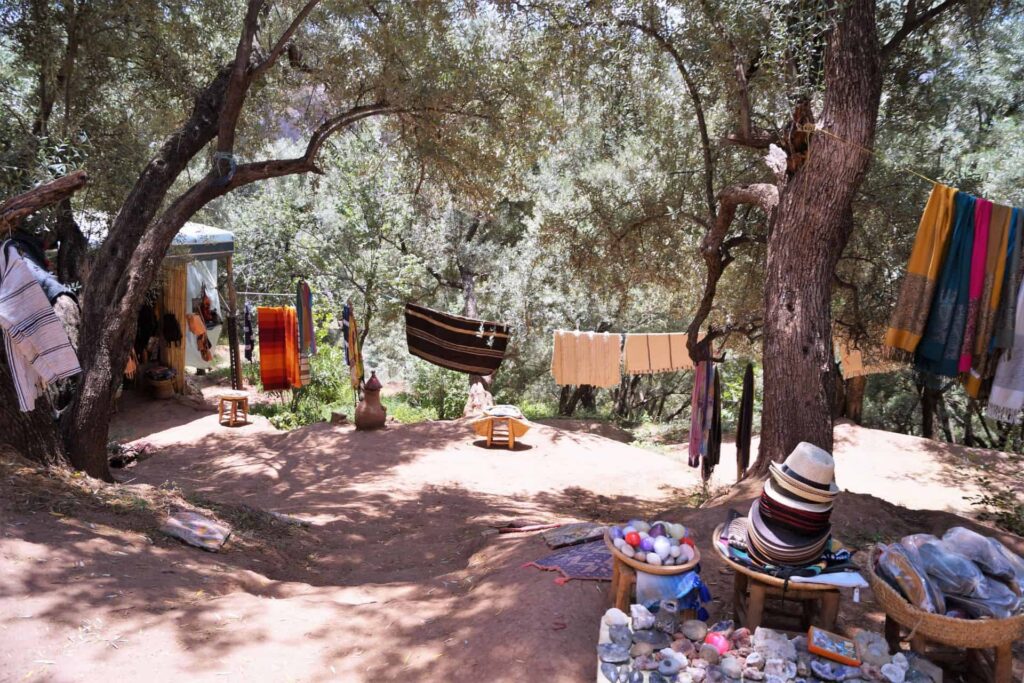 Ouzoud Waterfalls Day Trip From Marrakech